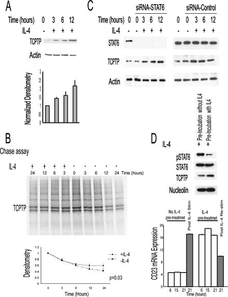 FIG. 9.