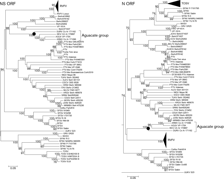 Fig. 3. 