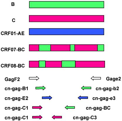 FIG. 1.