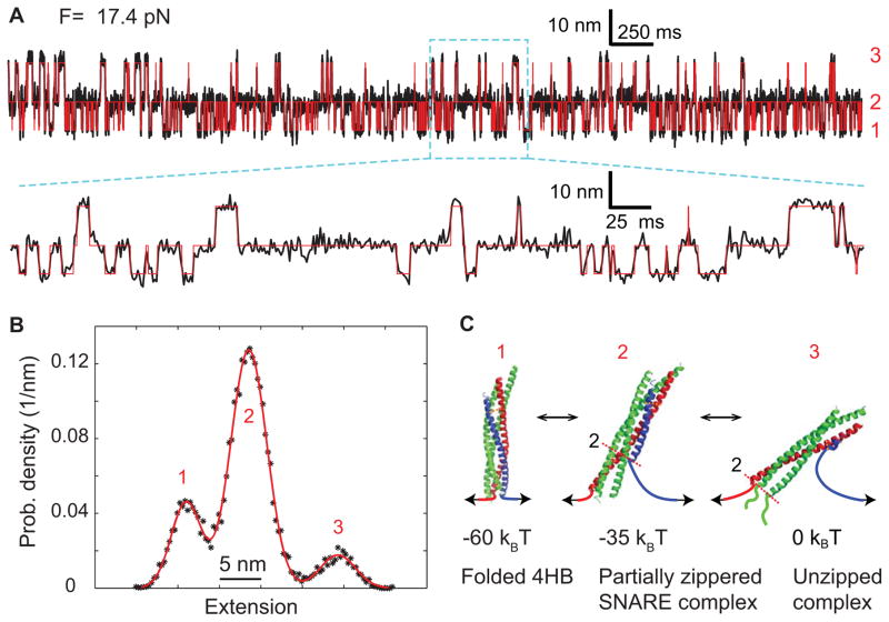 Fig. 11