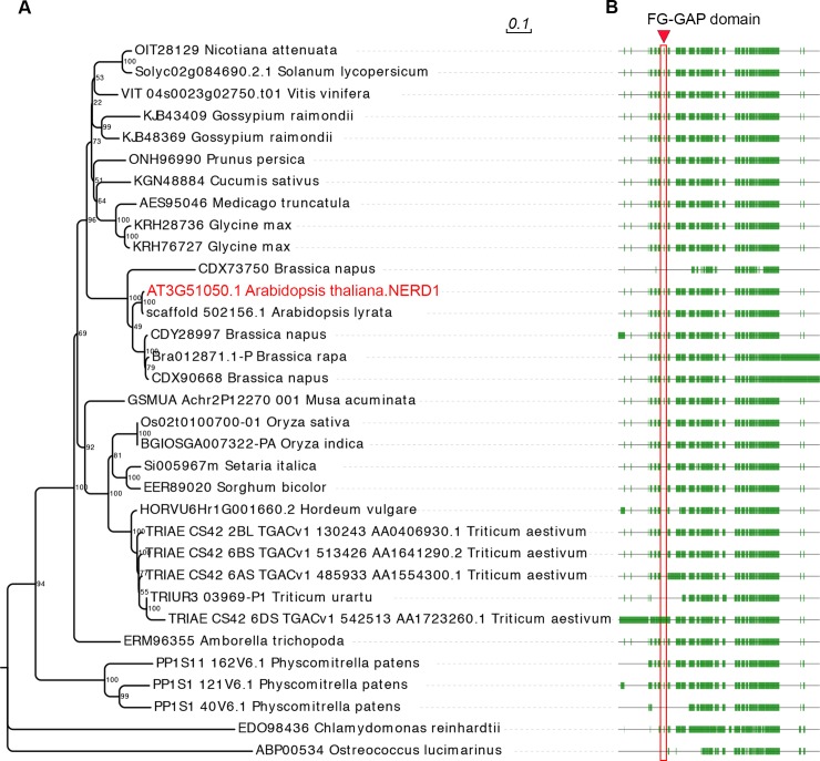 Fig 4