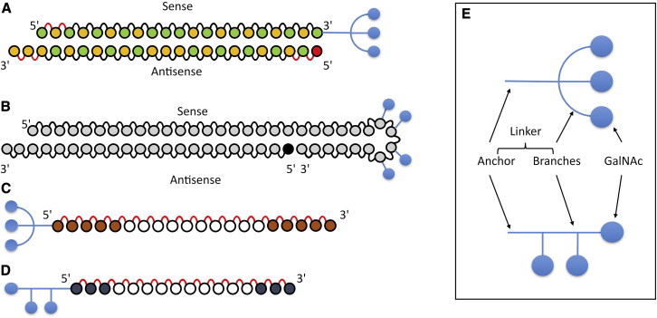 Figure 4