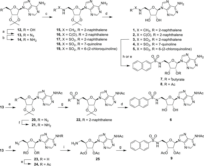 Scheme 1