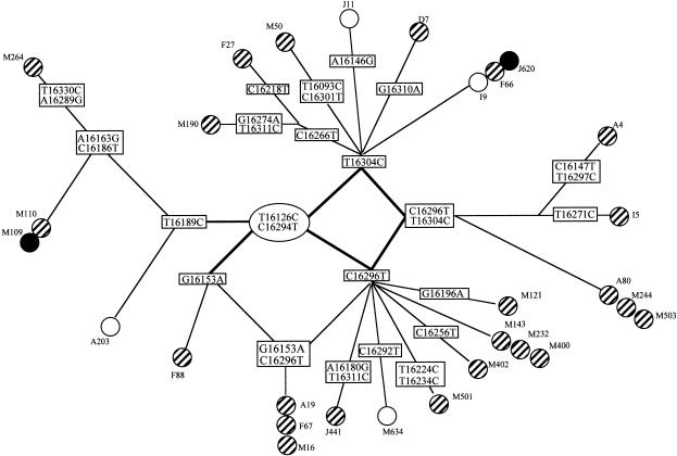 Figure  3