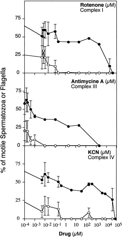 Figure  1