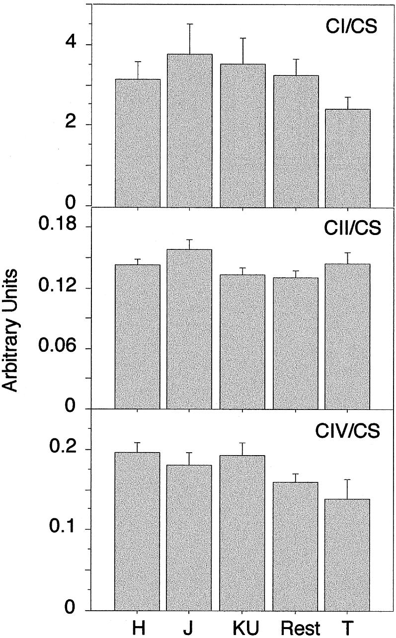 Figure  5