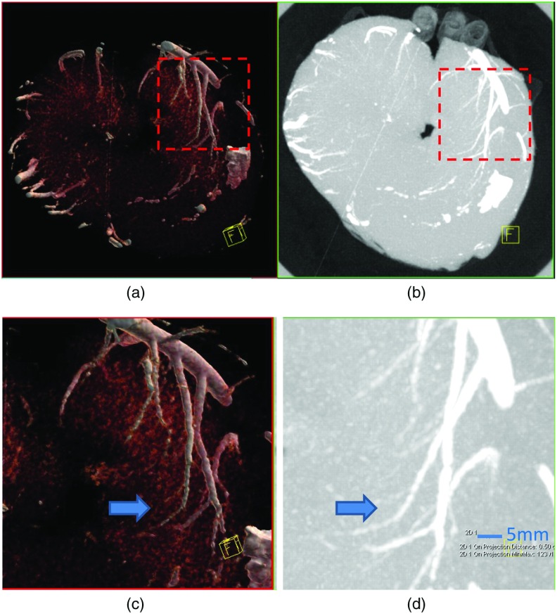 Fig. 8