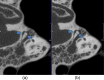 Fig. 9