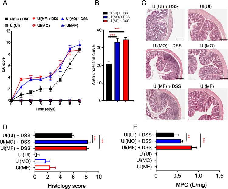 FIG 6