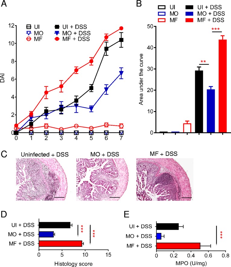 FIG 1