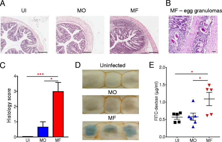 FIG 2