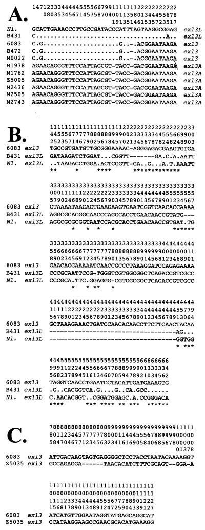 FIG. 6