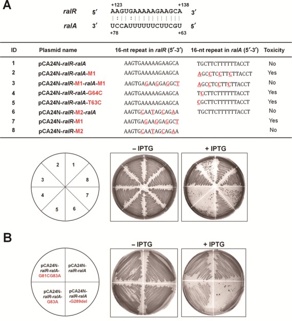 Figure 5.