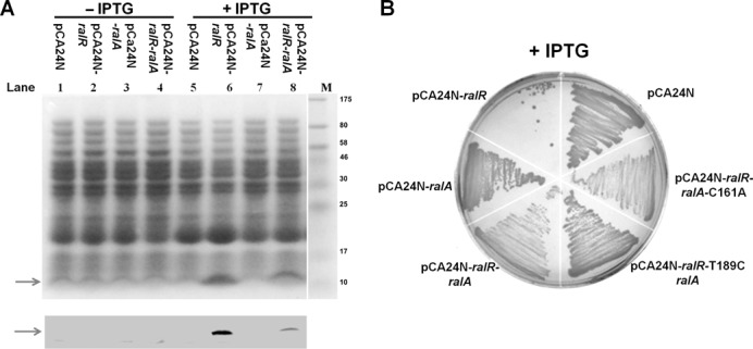 Figure 3.