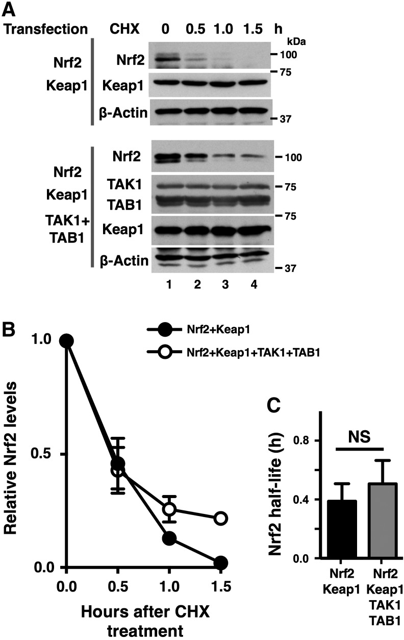 FIG. 3.