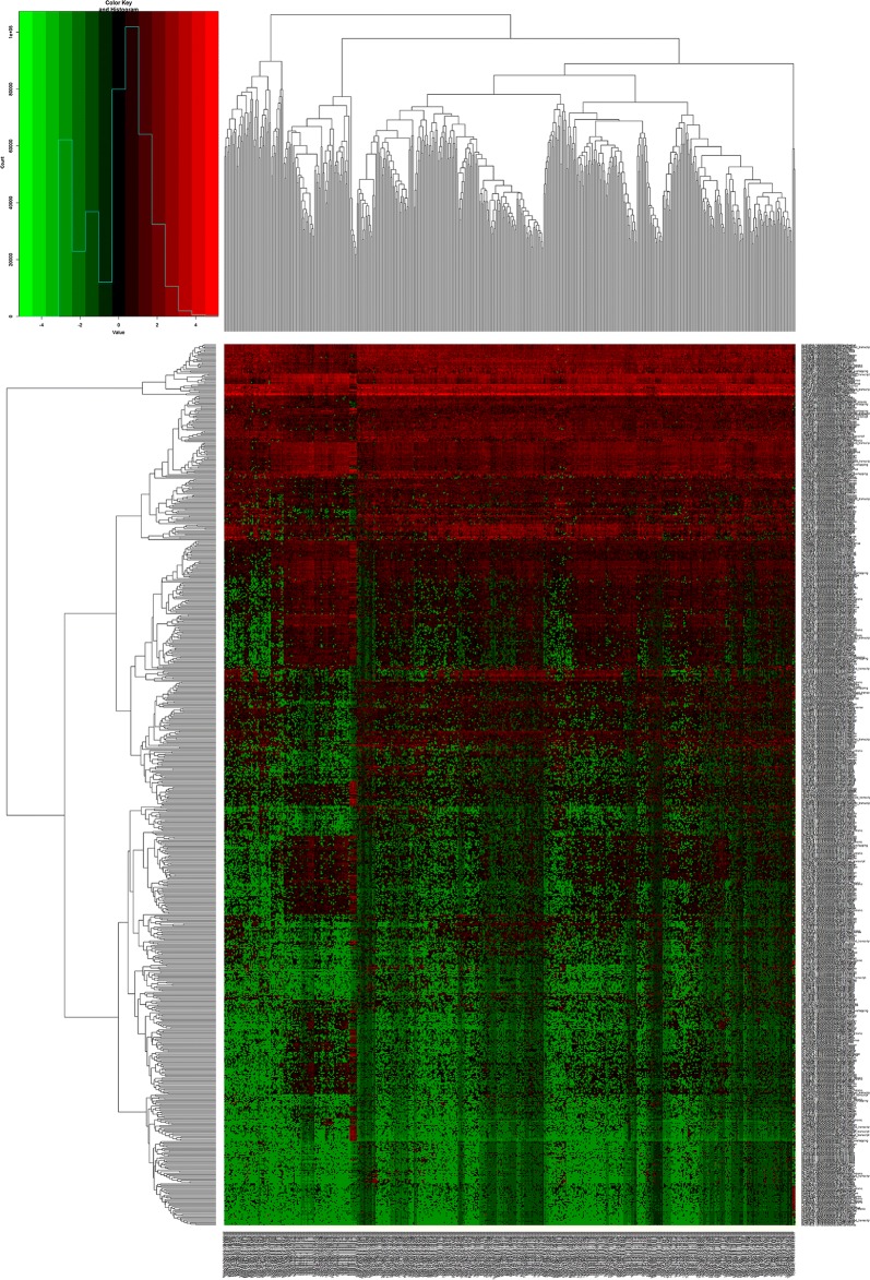 Fig. 2