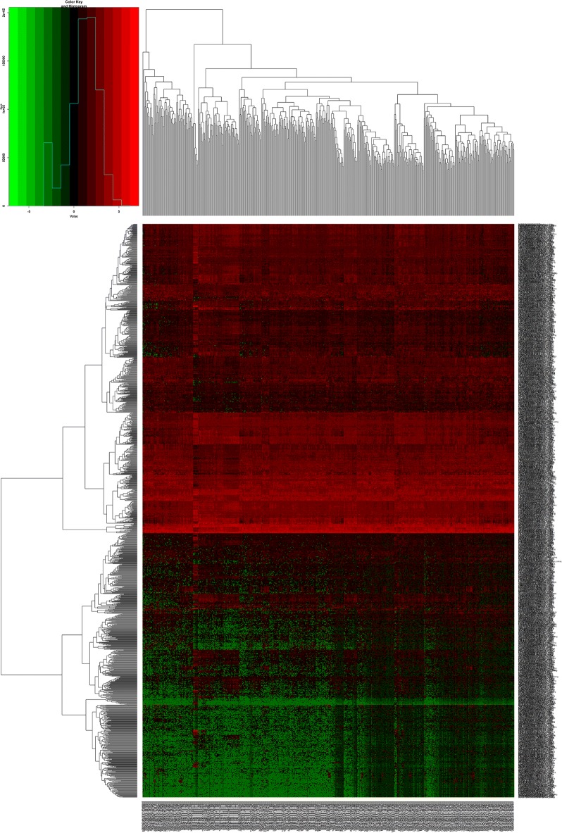 Fig. 1