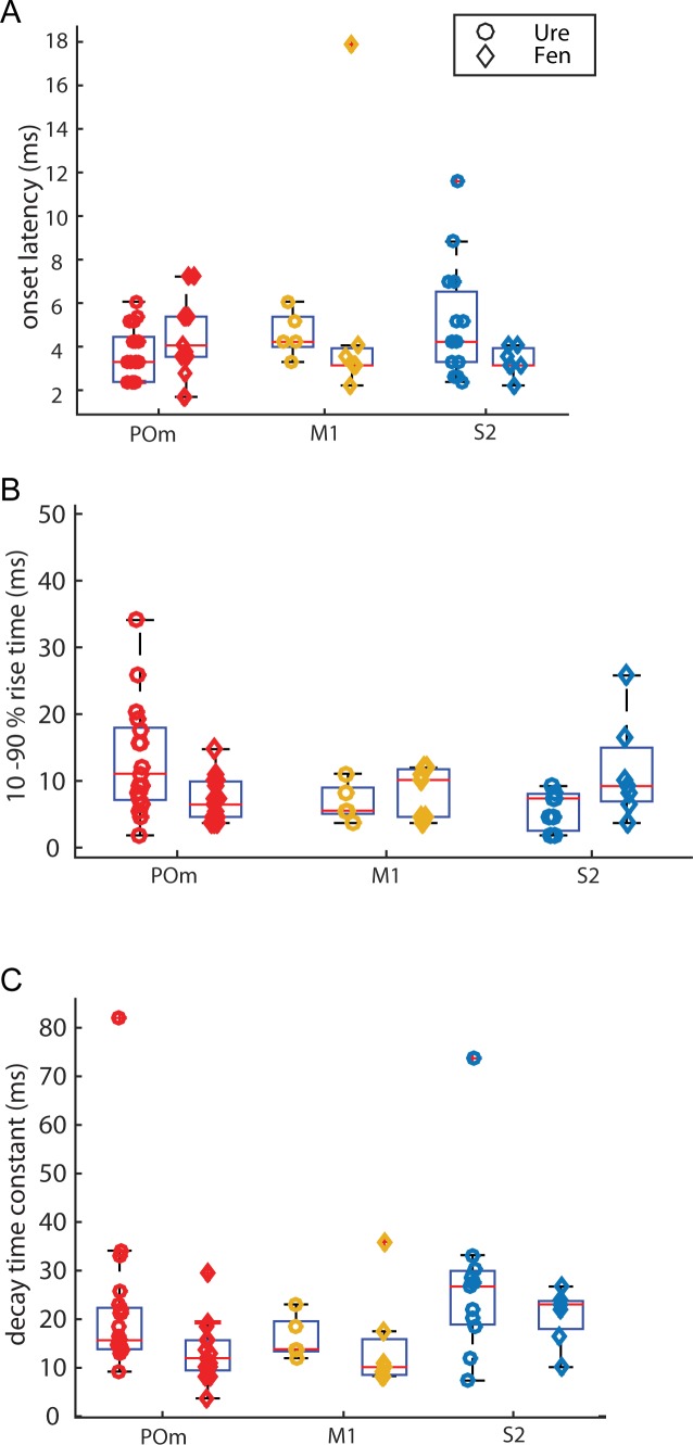 Figure 2—figure supplement 1.