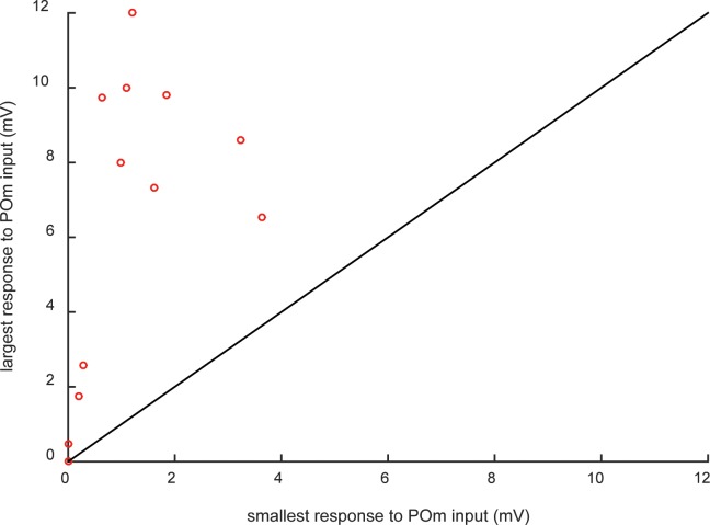 Figure 2—figure supplement 2.