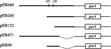 FIG. 5.