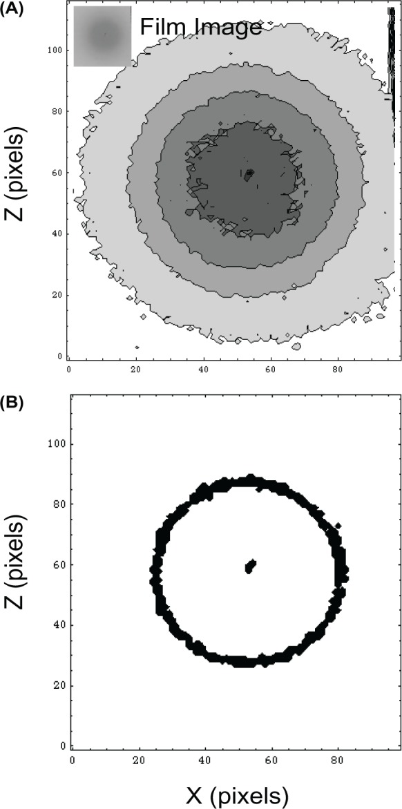 Figure 3: