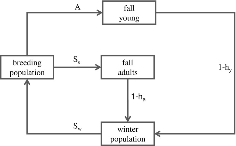 Fig. 4