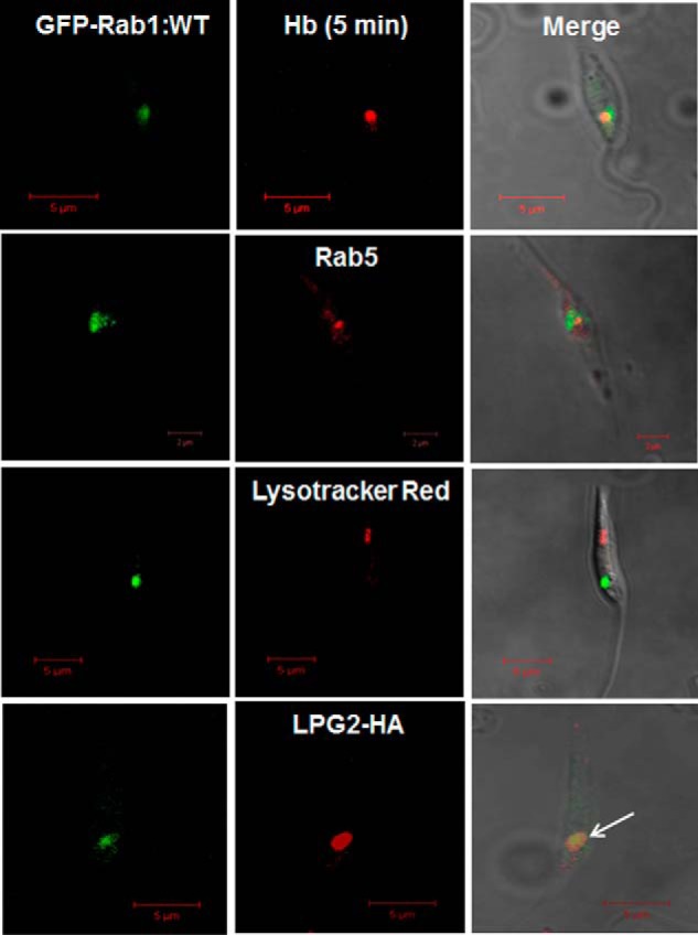 FIGURE 4.