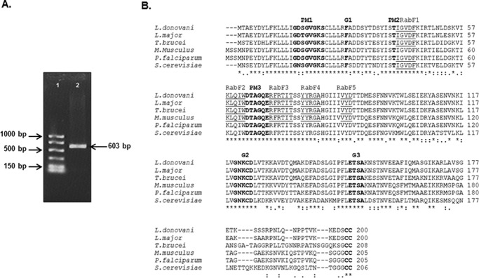 FIGURE 1.