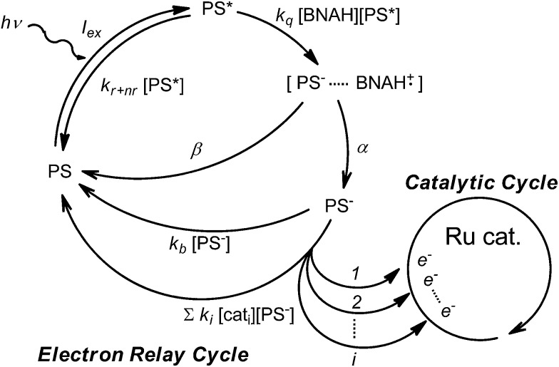 Scheme 3