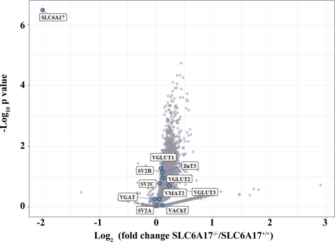 Figure 2—figure supplement 2.