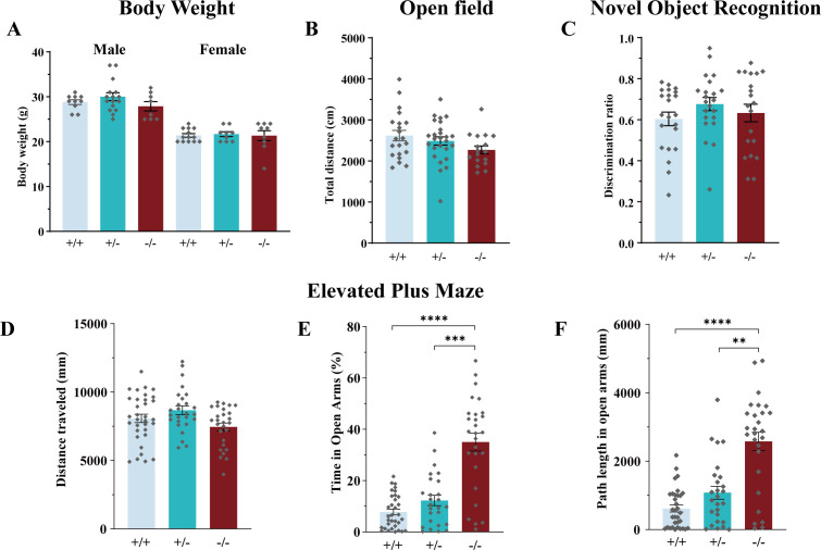 Figure 2—figure supplement 1.