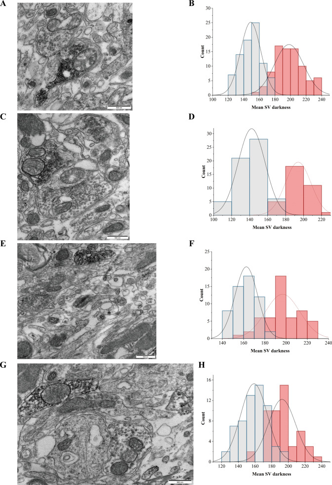 Figure 4—figure supplement 2.