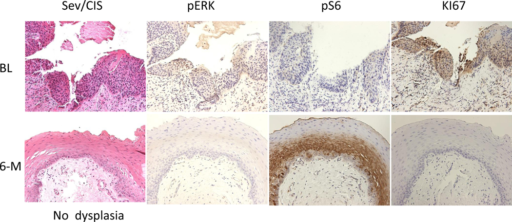 Figure 4: