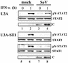 FIG. 8.