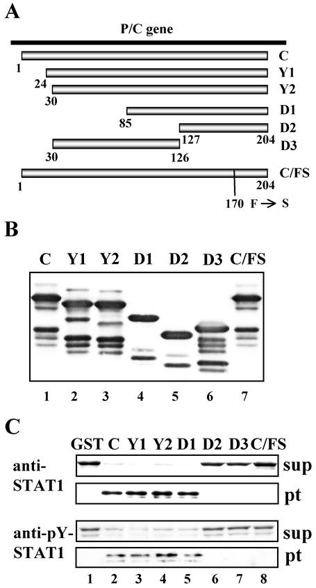 FIG. 1.