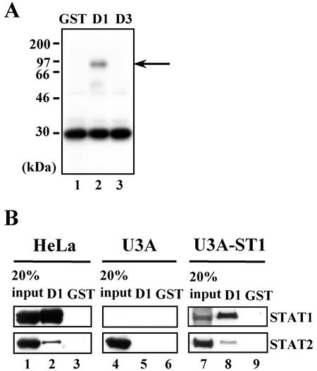 FIG. 7.