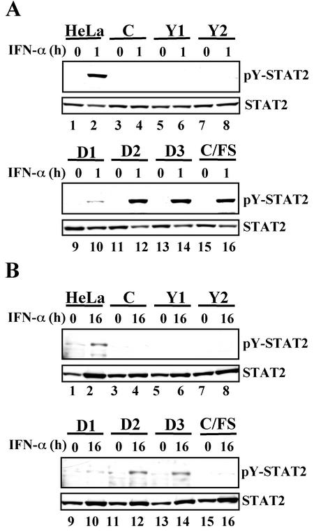 FIG. 5.