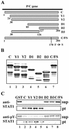 FIG. 1.