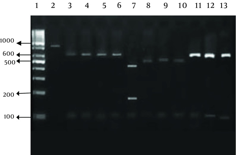 Figure 2.