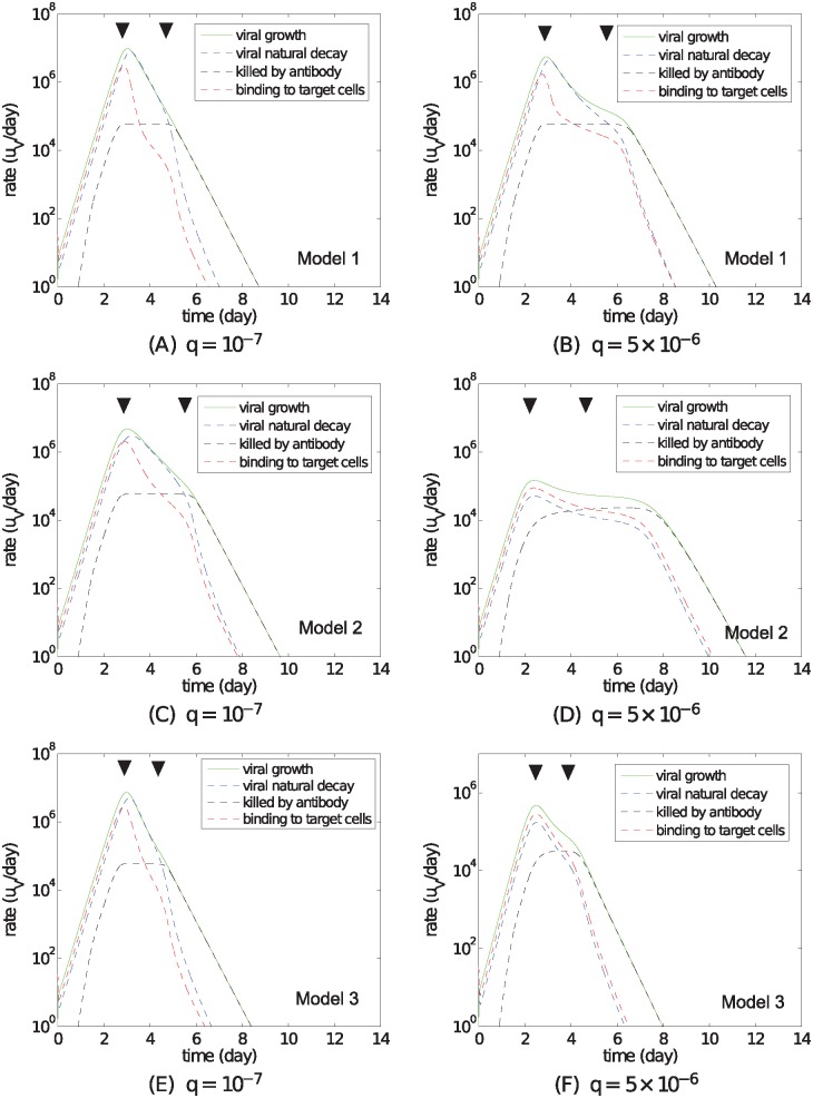 Fig 5