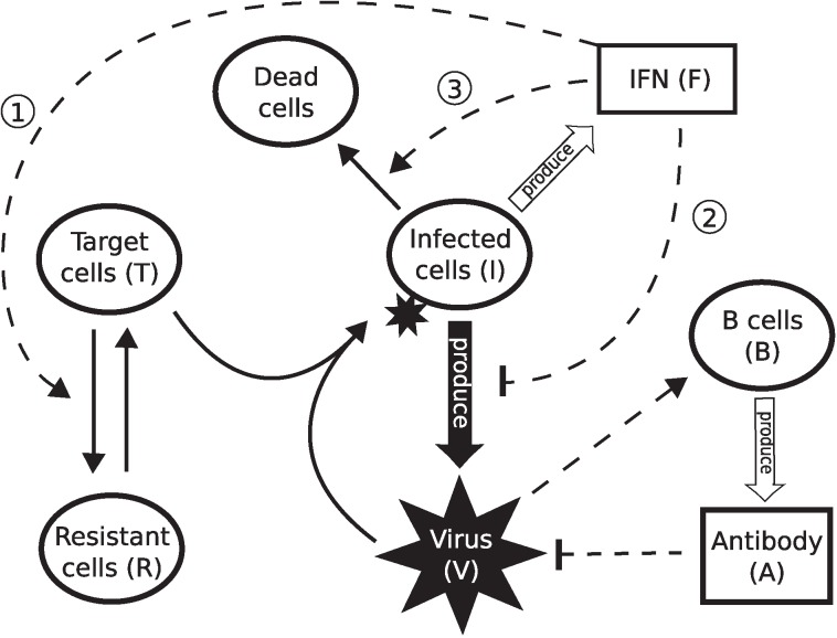 Fig 4