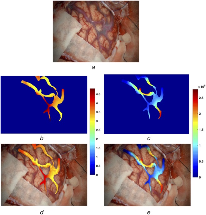 Fig. 4