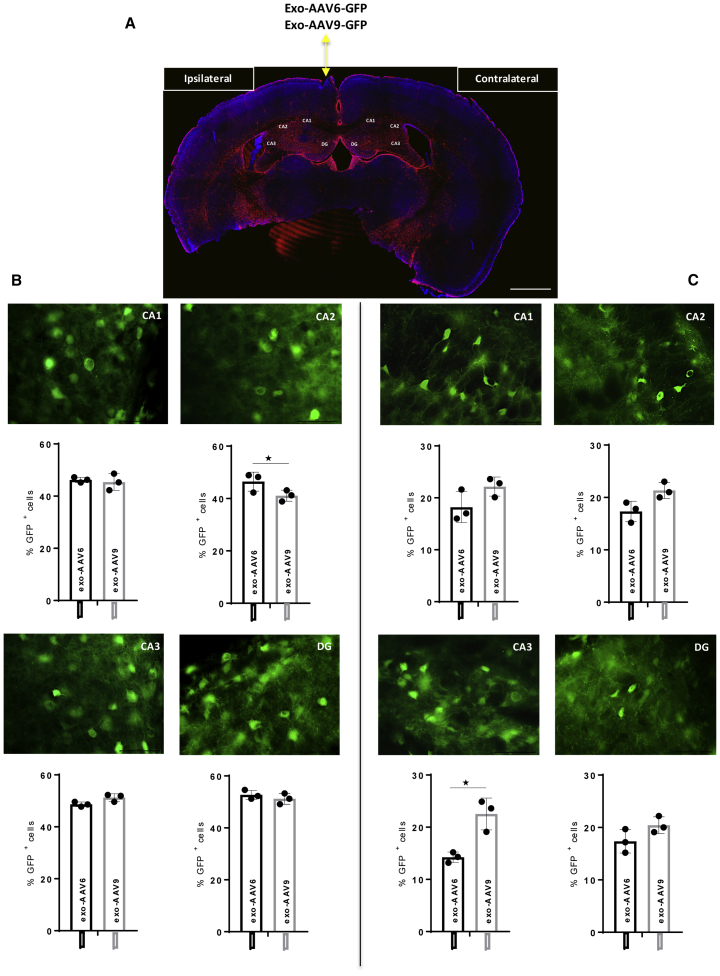 Figure 7