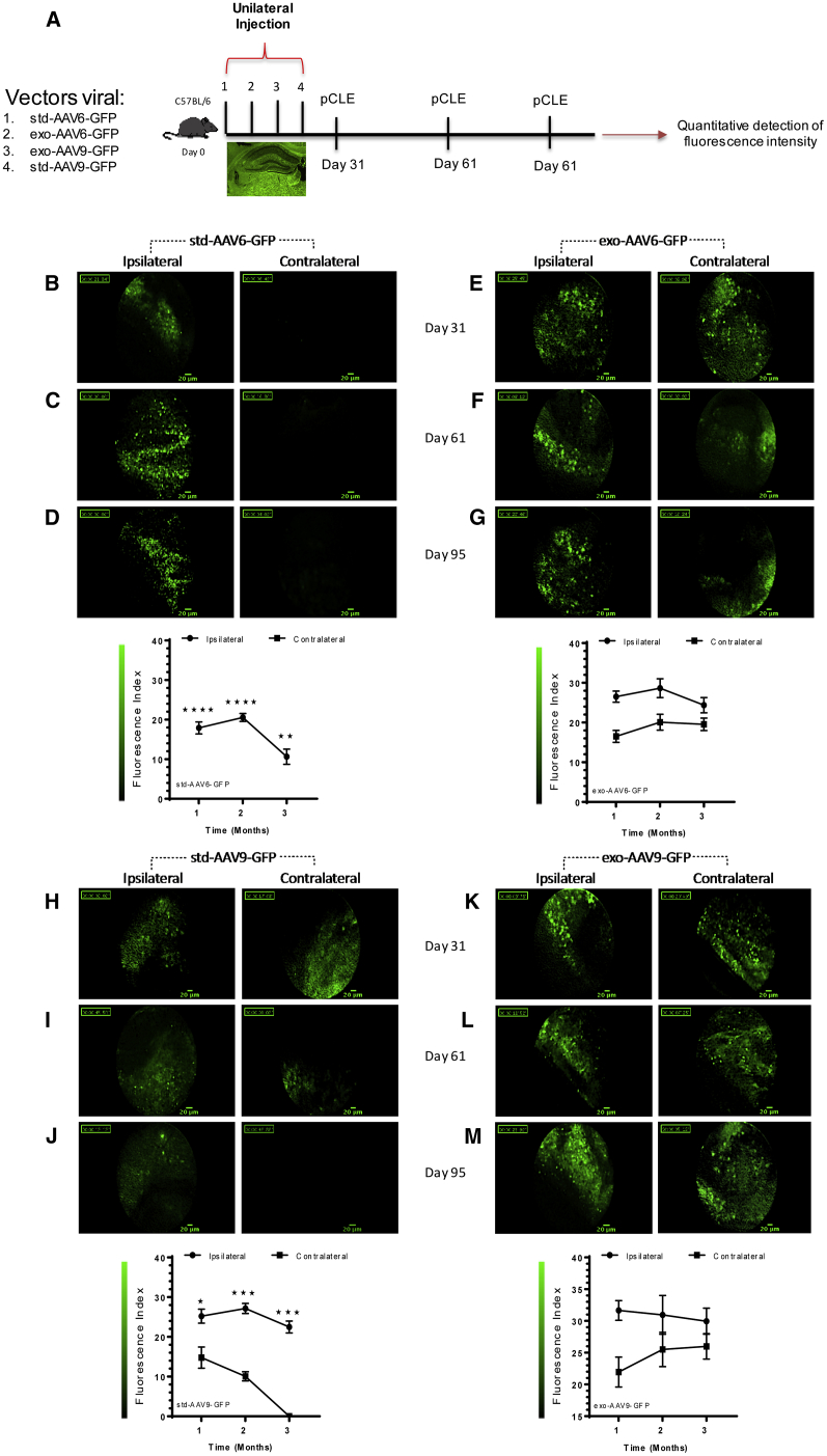 Figure 6