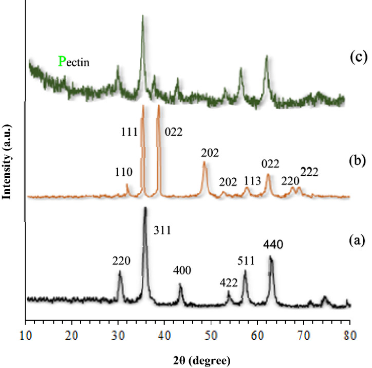 Figure 7