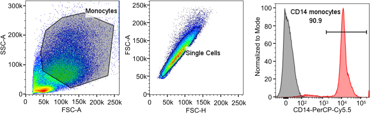 Figure 2