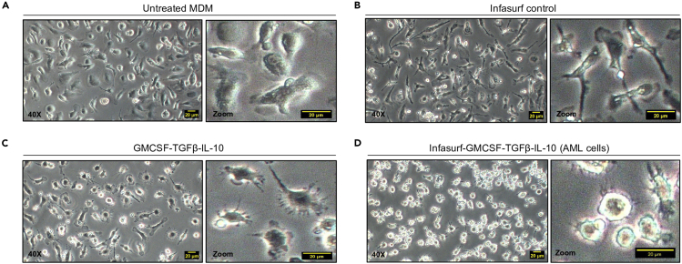 Figure 5