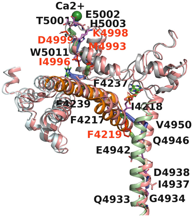 Fig 6.