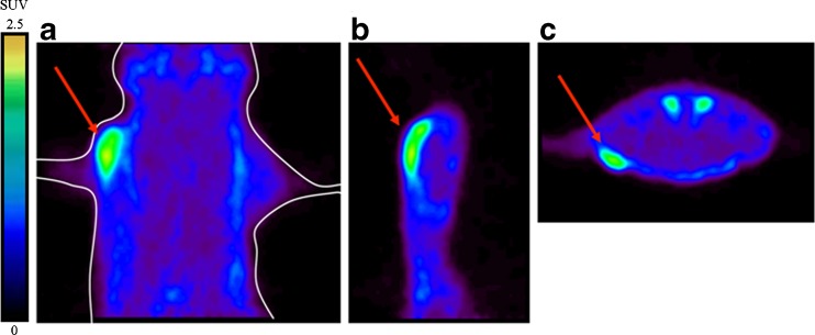 Fig. 2