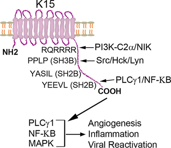 FIG 8